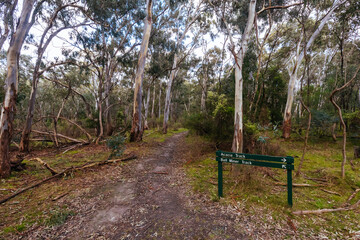 Gresswell Conservation Reserve in Melbourne Australia