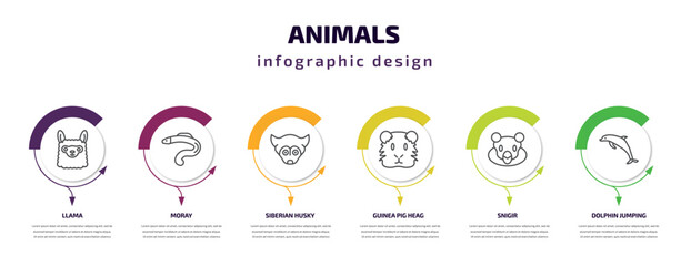 animals infographic template with icons and 6 step or option. animals icons such as llama, moray, siberian husky, guinea pig heag, snigir, dolphin jumping vector. can be used for banner, info graph,