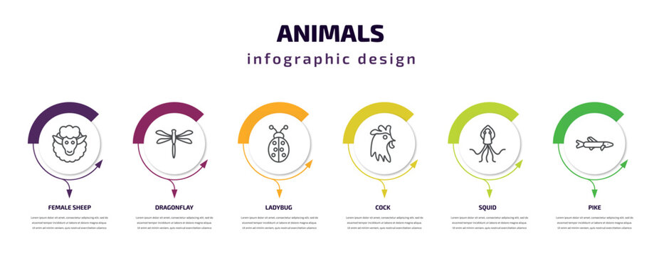 animals infographic template with icons and 6 step or option. animals icons such as female sheep, dragonflay, ladybug, cock, squid, pike vector. can be used for banner, info graph, web,