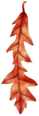 watercolor autumn leaf for decorative