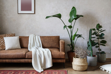 Living room with potted plants and couch in modern apartment