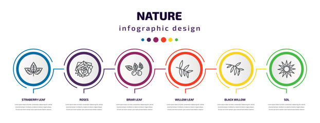 nature infographic template with icons and 6 step or option. nature icons such as straberry leaf, roses, briar leaf, willow leaf, black willow, sol vector. can be used for banner, info graph, web, - obrazy, fototapety, plakaty