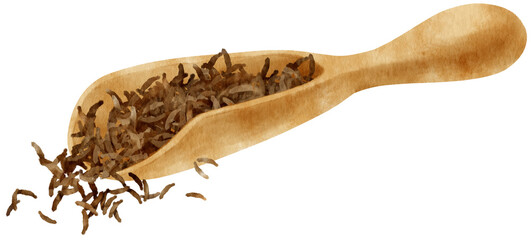 dried green tea leaves in wooden scoop watercolor