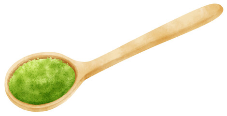 green tea matcha powder in wooden spoon watercolor