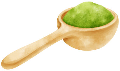 matcha powder watercolor in wooden scoop illustration