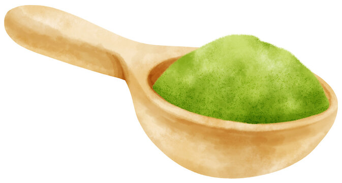 matcha powder watercolor in wooden scoop illustration