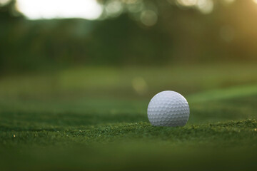 golf ball is on a green lawn in a beautiful golf course