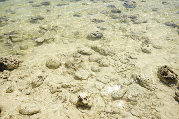 Hoshisuna Beach or Hoshizuna Beach in Taketomi-jima Island, Okinawa, Japan - 日本 沖縄 竹富島 星砂浜