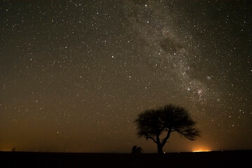 Pampas landscape photographed at night with a starry sky, La Pampa province, Patagonia , Argentina.