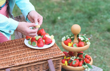 The hands of a middle-aged Caucasian woman are preparing a fruit barbecue from strawberries, grapes and cheese