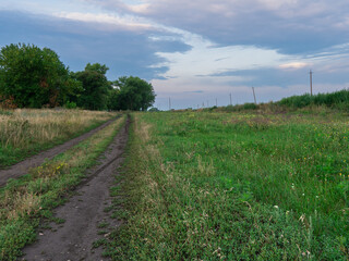 Fototapeta na wymiar path in the field with blue sky
