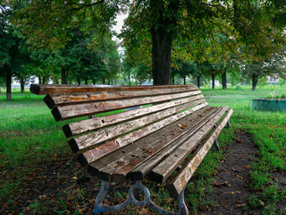 wooden bench in the park