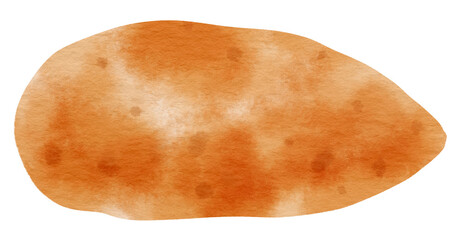 garnet yam vegetable watercolor illustration