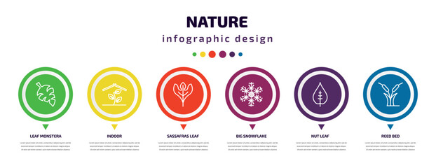 nature infographic element with icons and 6 step or option. nature icons such as leaf monstera, indoor, sassafras leaf, big snowflake, nut leaf, reed bed vector. can be used for banner, info graph,