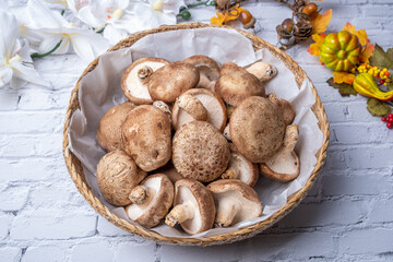 Healthy and Delicious Vegetable Shiitake Mushroom