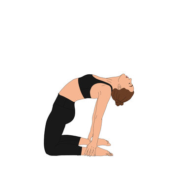 PNG Camel Pose / Ustrasana. Flexible woman figure doing stretch yoga asana pose exercise without background illustration painting poster of person practicing stretching