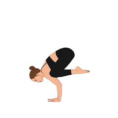 PNG Crow Pose / Bakasana. Stretching flexible woman practicing doing yoga asana. The cartoon painting illustration of person doing yoga without background.