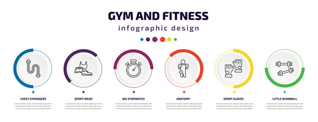 gym and fitness infographic element with icons and 6 step or option. gym and fitness icons such as chest expanders, sport wear, big stopwatch, anatomy, sport gloves, little dumbbell vector. can be