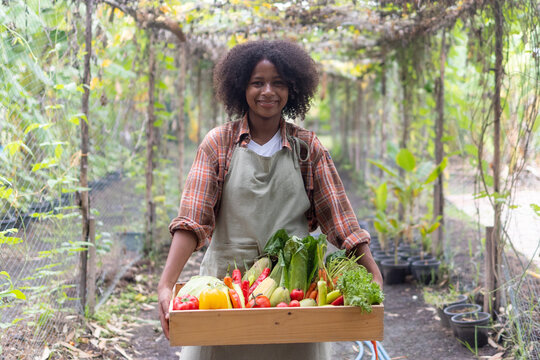 Woman Picking Vegetables, Portrait Teenage Girl African Carries A Wooden Box With Fresh Fruits And Vegetables From A Farm