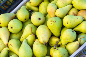 Close up pears in the market