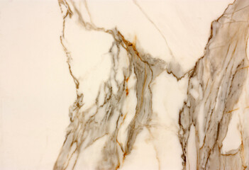 An abstract pattern of a layered section of a stone. Background in warm white, gray, black and brown tones.