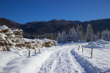 Fototapeta na wymiar Spectacular mountain landscape in winter. Pian Cansiglio, Italy. 