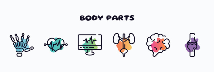 body parts outline icons set. thin line icons such as human hand bones, life, heartbeats monitoring, excretory system, brain body organ, ball of the knee icon collection. can be used web and mobile.