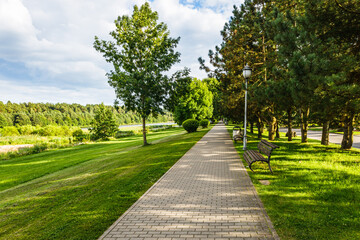 Fototapeta premium The row of oak trees, grassy lawn, and pathway. Urban recreation and outdoor activities area