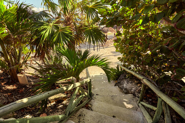 Stairway surrounded by tropical vegetation