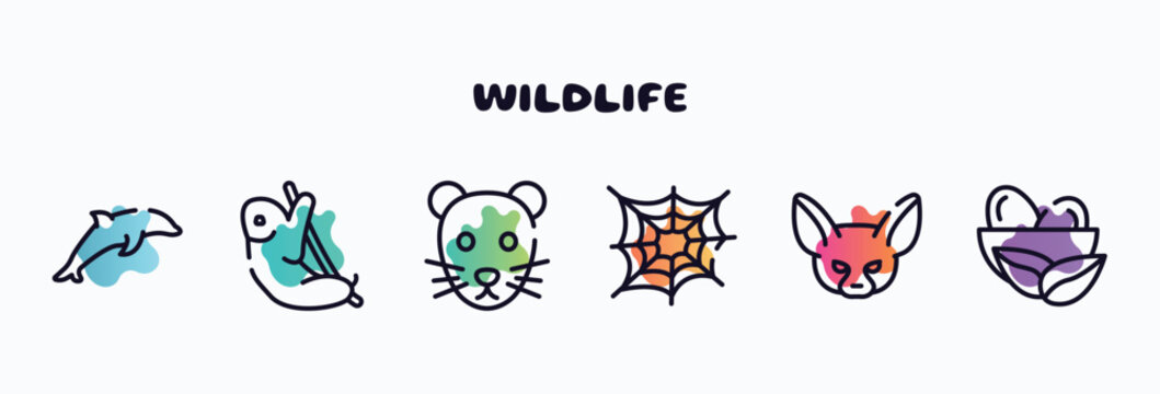 wildlife outline icons set. thin line icons such as dolphin, sloth, rat, cobweb, fennec, nest icon collection. can be used web and mobile.