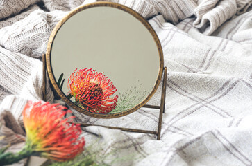 Beautiful background with the reflection of an exotic flower in the mirror.