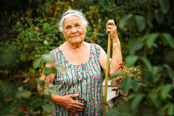 Close up portrait of a senior woman in a garden. Very old lady of eighty years old outdoor in summer
