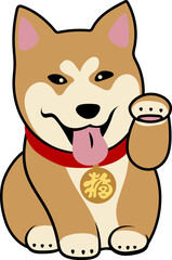 Lacky Akita Dog (Akita-inu) as Maneki Neko - traditional Japanese symbol of wealth and good luck.