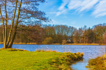 Obraz premium Natural panorama view lake pathway green plants trees forest Germany.
