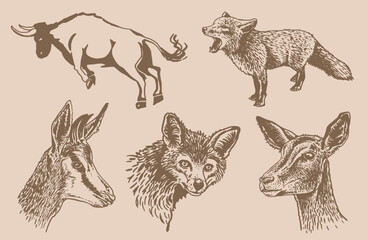 Vector set of animals on sepia background, graphical fox, deer and bull .Wild animals collection