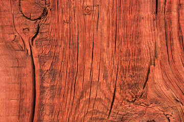 red wood texture. background old panels