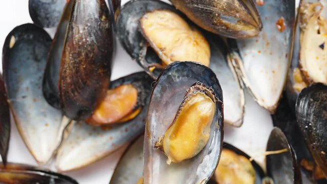 An open mussel rotates against the background of other shells. slide