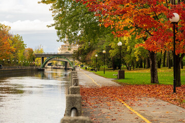 Fall foliage in Ottawa, Ontario, Canada. Rideau Canal Eastern Pathway autumn red leaves scenery. Laurier Avenue Bridge. - obrazy, fototapety, plakaty