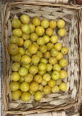 Fruit / Prune