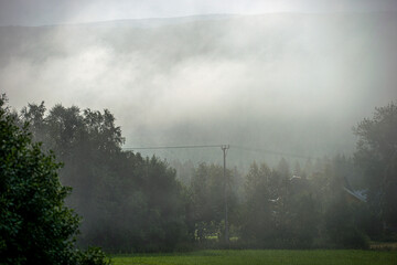 fog in the forest, åre, jämtland, sweden, sverige, sommar, årstid,norrland