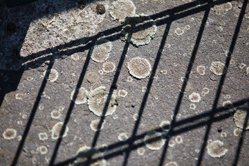 Abstrakte Aufnahme  vom Beton Bodens mit Schimmel und einem Schatten von einer Gitterumz&auml;unung