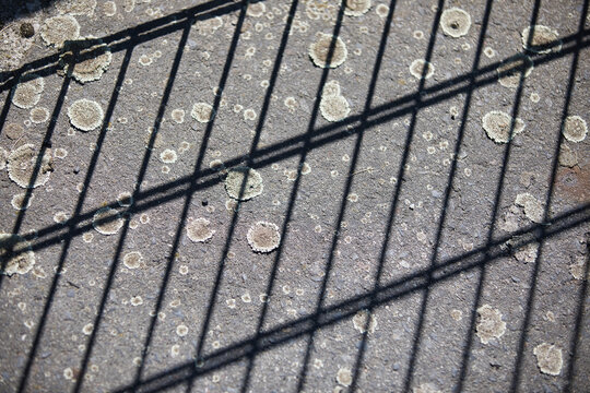 Abstrakte Aufnahme  vom Beton Bodens mit Schimmel und einem Schatten von einer Gitterumzäunung
