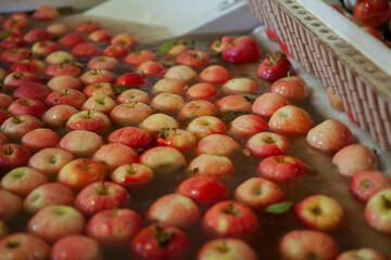 MANZANA ROJA,Empaque de peras y manzanas