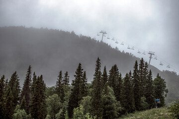 forest, fog in the mountains, åre.jämtland. norrland sverige sommar årstid,sweden