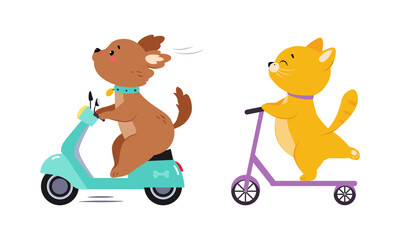 Cute baby animals enjoying ride. Puppy on motorbike, kitten on kick scooter cartoon vector illustration