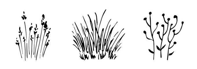 Simple black outline vector drawing. Sketch in ink. Wildflowers, grass bushes, weeds. Nature and vegetation. Landscape elements. - obrazy, fototapety, plakaty