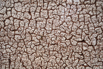 closeup texture cracked wall paint