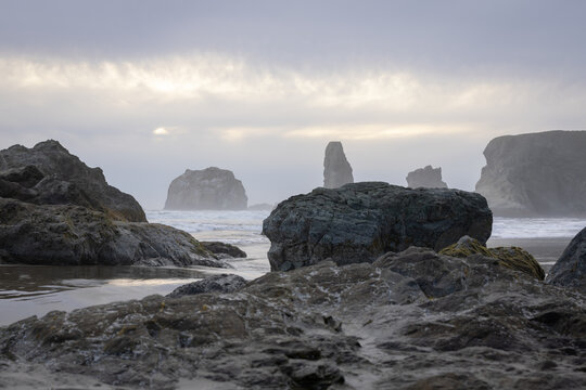 Sean photos, images, assets | Adobe Stock