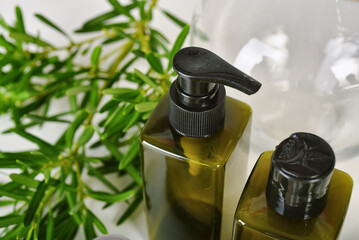 Natural skincare beauty product, Cosmetic green bottle containers packaging with green nature leaves, Blank label for organic spa branding mock-up, Herbal healthy skin care.