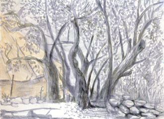 An hand drawn illustration, scanned picture - summer time - tent behind the olive tree